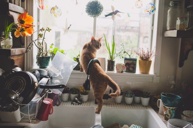 April 30th 2017- katie-7